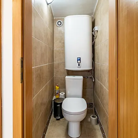 Seagull * Варна