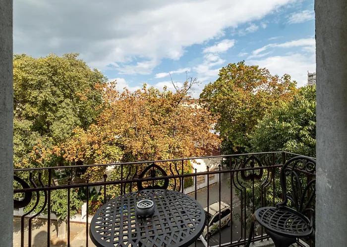 Seagull * Βάρνα