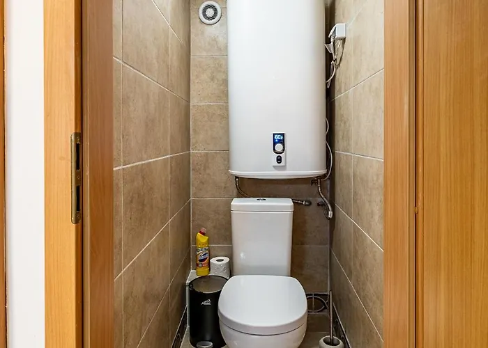 Seagull * Βάρνα